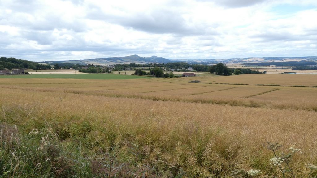 Blick vom Radweg hinunter ins Tal
