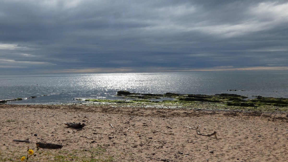 Entlang Schottlands Nordsee-Küste