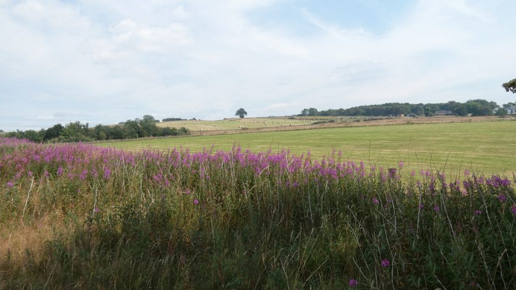 Schottische Landschaft zwischen Aberdeen und Maud