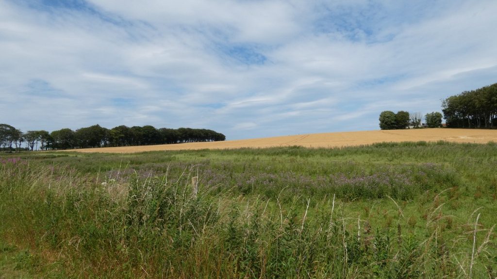 Schottische Landschaft zwischen Aberdeen und Maud