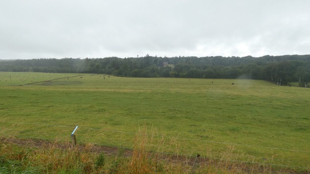 Heutige Landschaft - im Regen