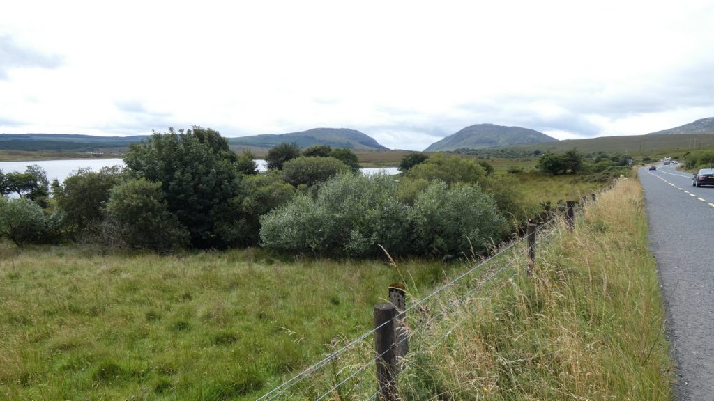 Irland - Land #7