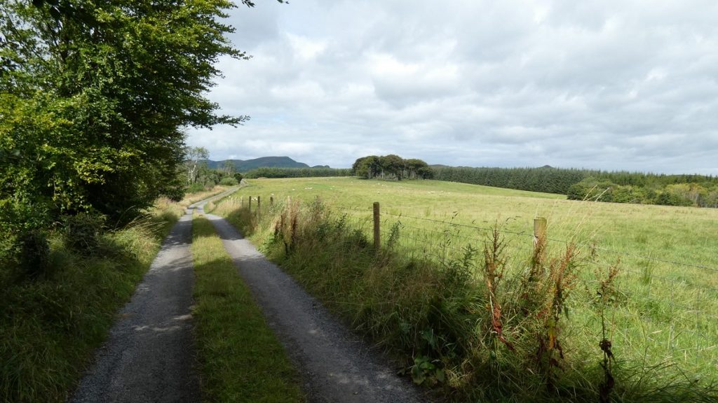Radweg um die Mittagszeit in Richtung Coolaney