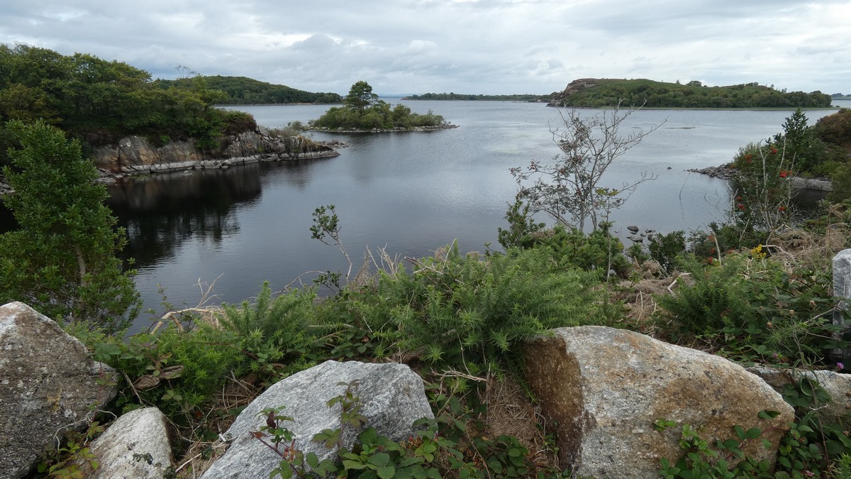 Lough Conn