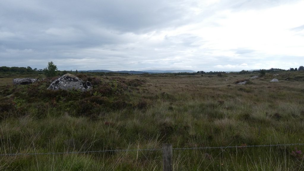 Irische Graslandschaft