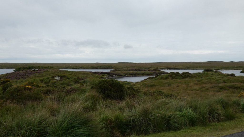 In der Gras- und Felssteppe