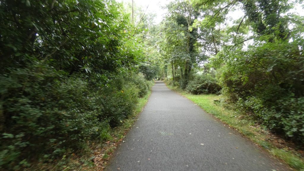 Auf dem Radweg vor Killarney