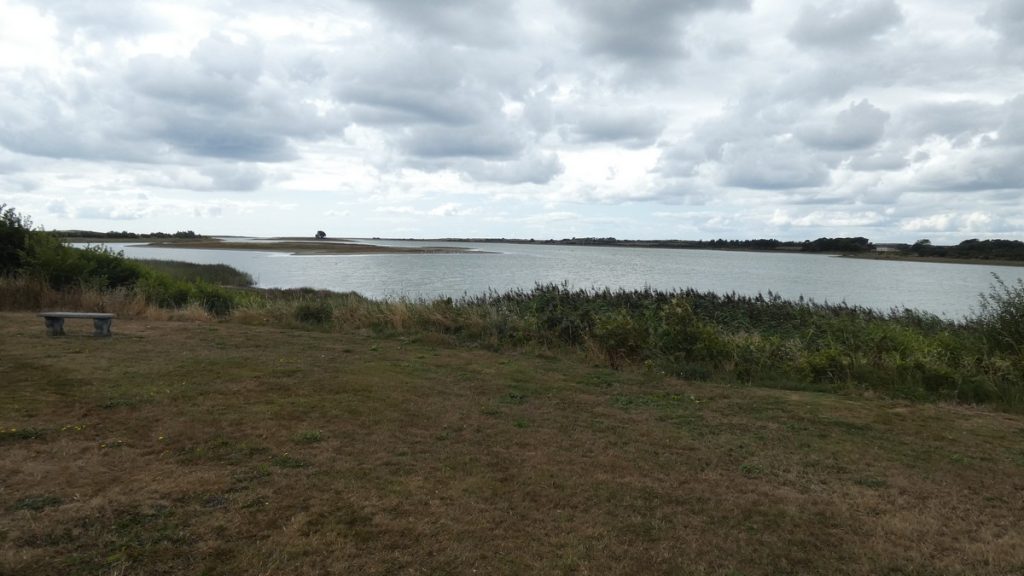 Lady's Island