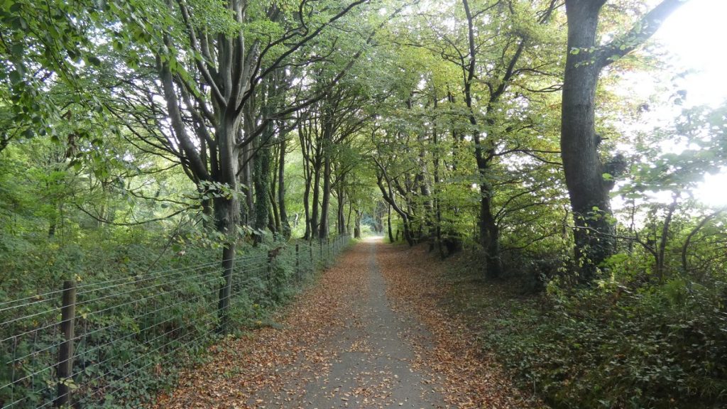 Auf dem Weg von Haverfordwest nach Pembroke