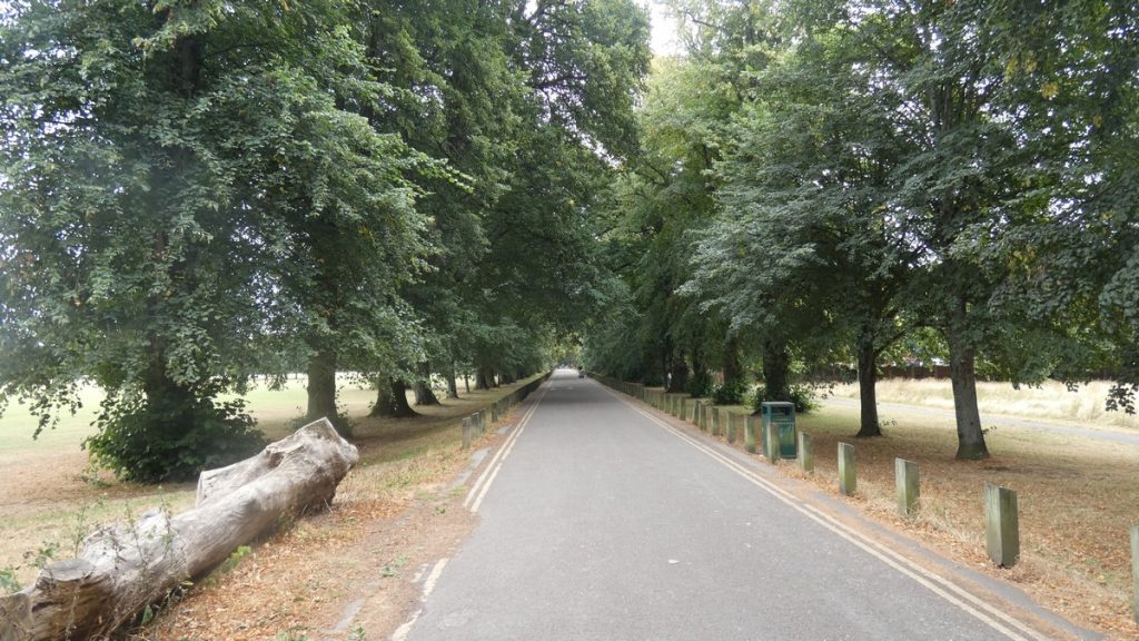Auf den letzten Kilometern durch einen Park in Cardiff