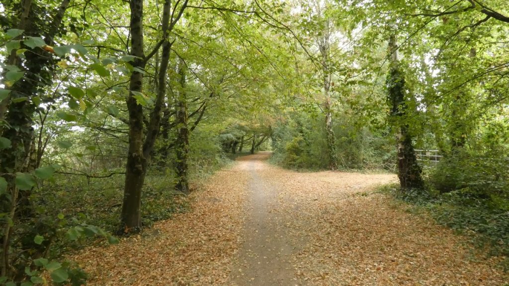 Herbststimmung...