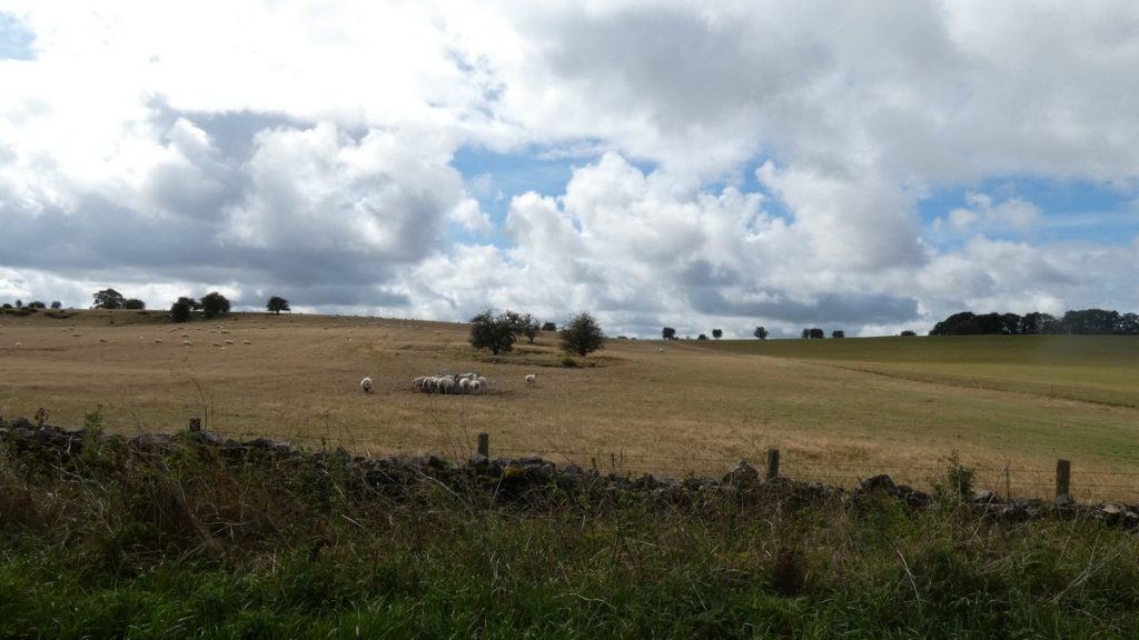 Auf dem Hochplateau zwischen Chew Valley Lake und Wells