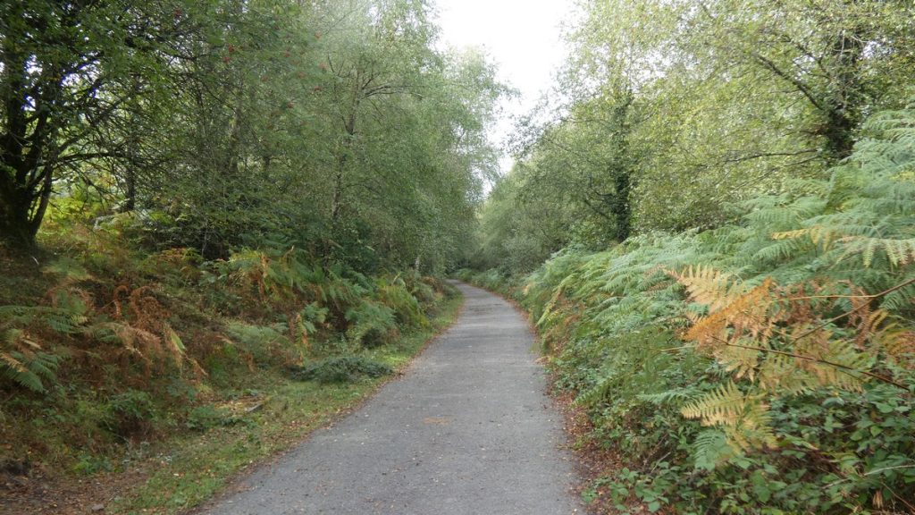Abfahrt zur Staumauer vom Wimbleball Lake