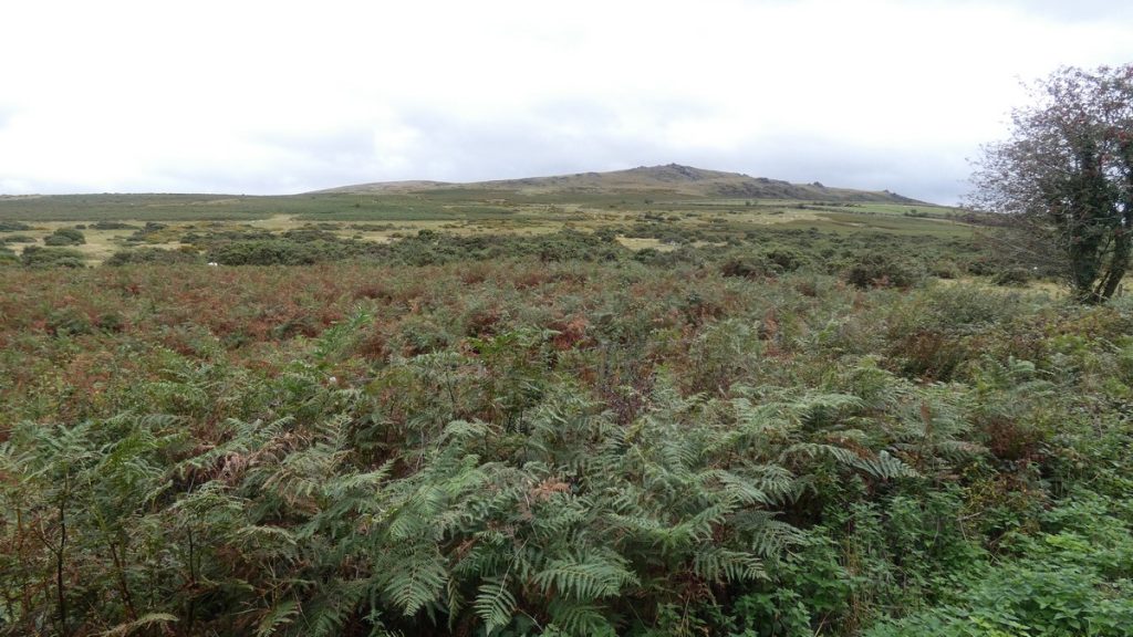 Dartmoor Nationalpark