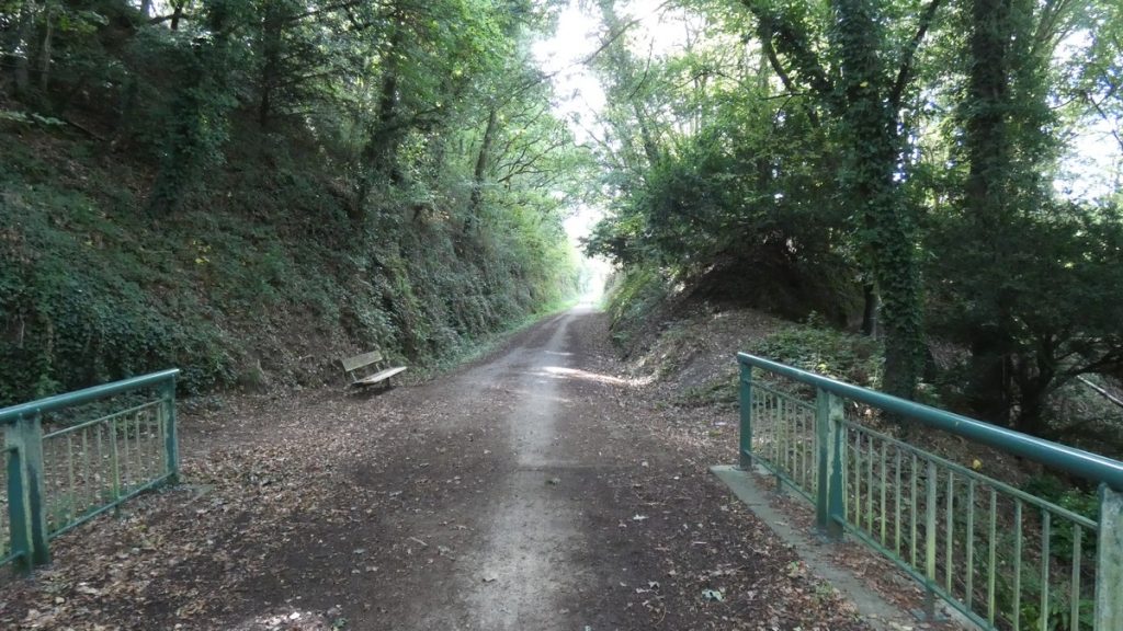 Im grünen Tunnel