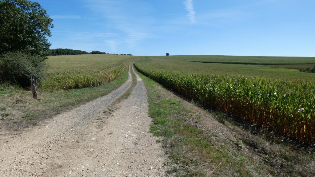 Doch noch etwas Aussicht!