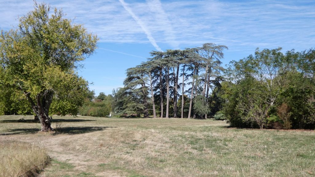 Domaine de Chaumont-sur-Loire