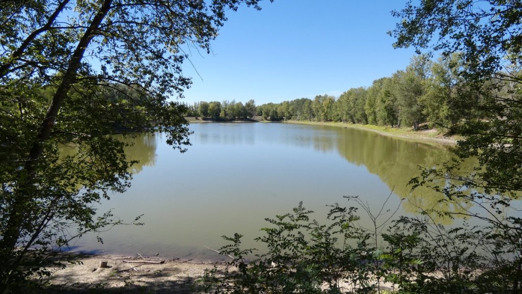 Im Park de la Loire bei Orléans