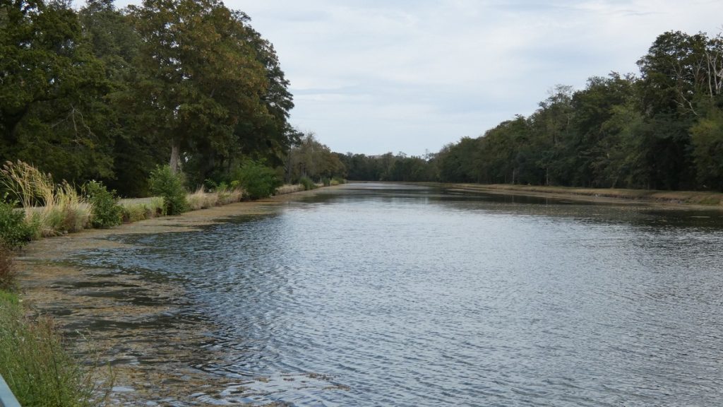 Zurück am Canal latéral à la Loire