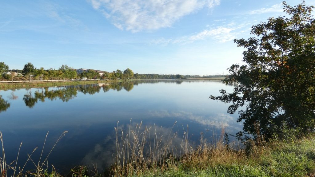 Morgenstimmung am Canal du Centre
