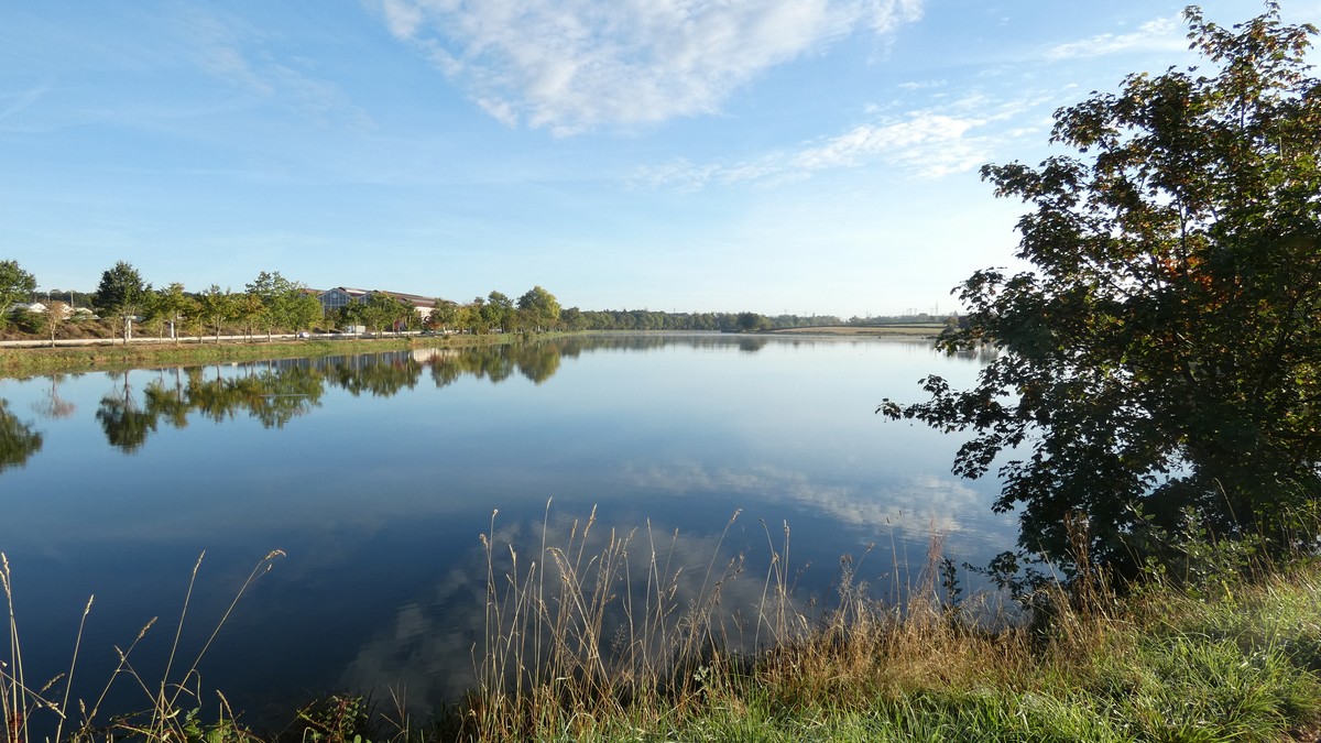 Morgenstimmung am Canal du Centre