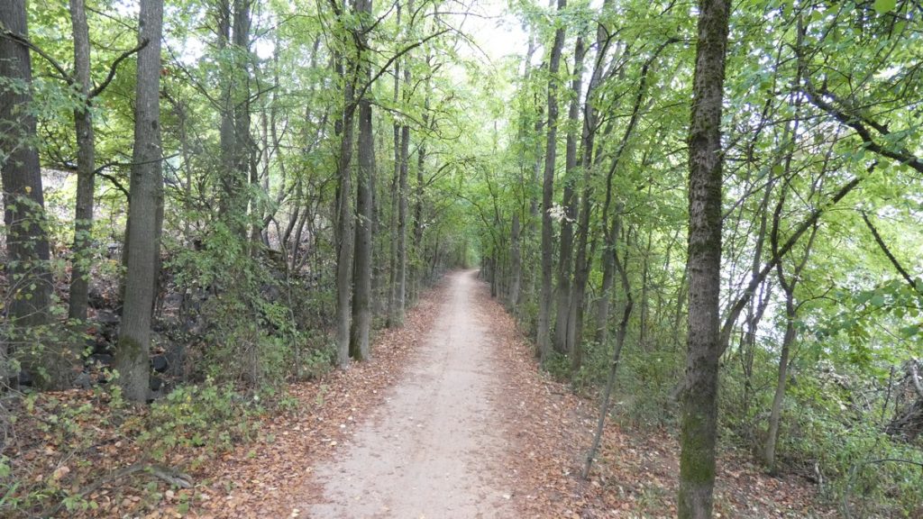 Für den Radweg wurde hier eine kleine Schneise durch einen Wald geschlagen