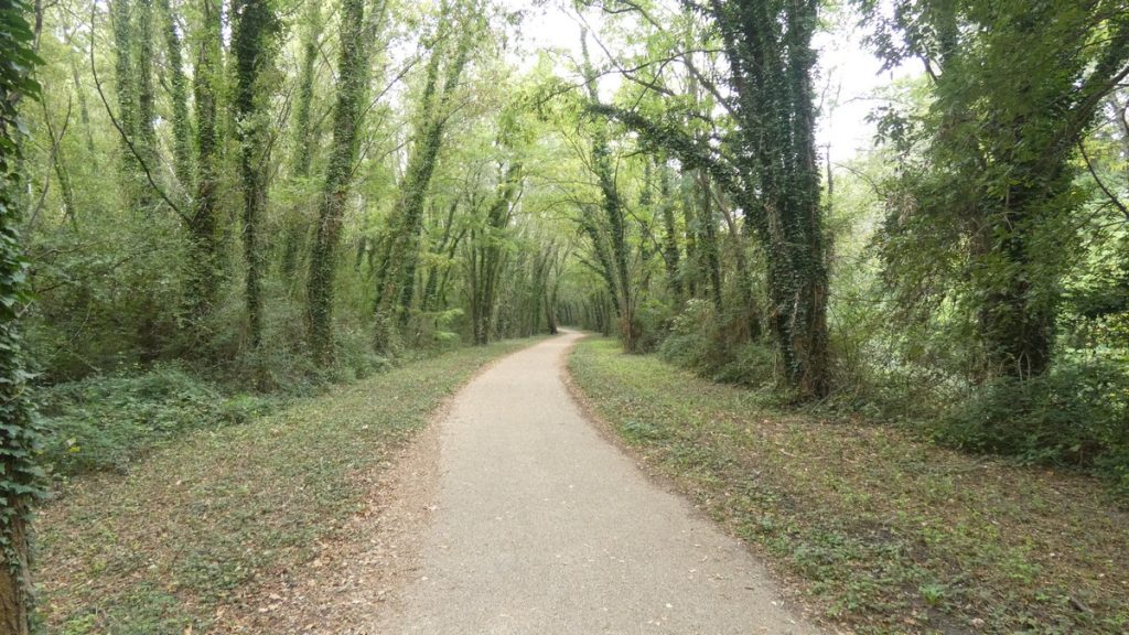 Auf dem Radweg durchs Grüne