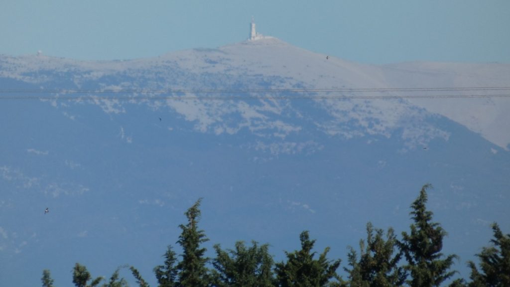 Mont Ventoux in der Ferne