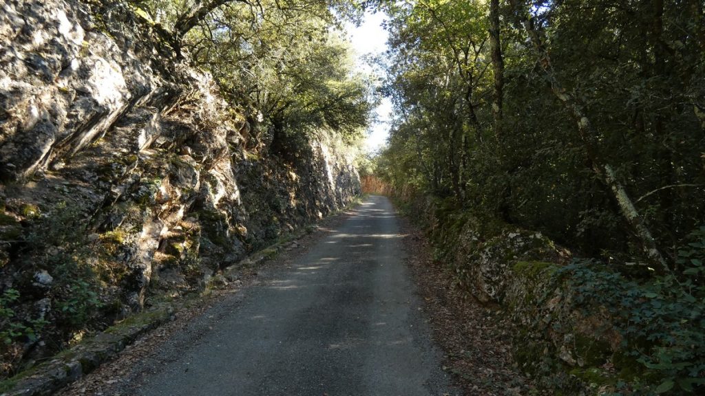 Auf dem Bahnradweg kurz vor dem Abzweiger nach Cotignac