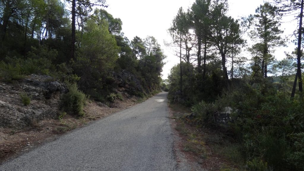 Weiter auf dem Bahnradweg in Richtung Draguignan
