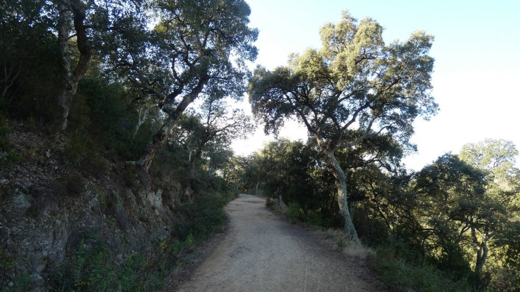 Auf dem Foto sieht der Naturweg besser aus als in der Realität...