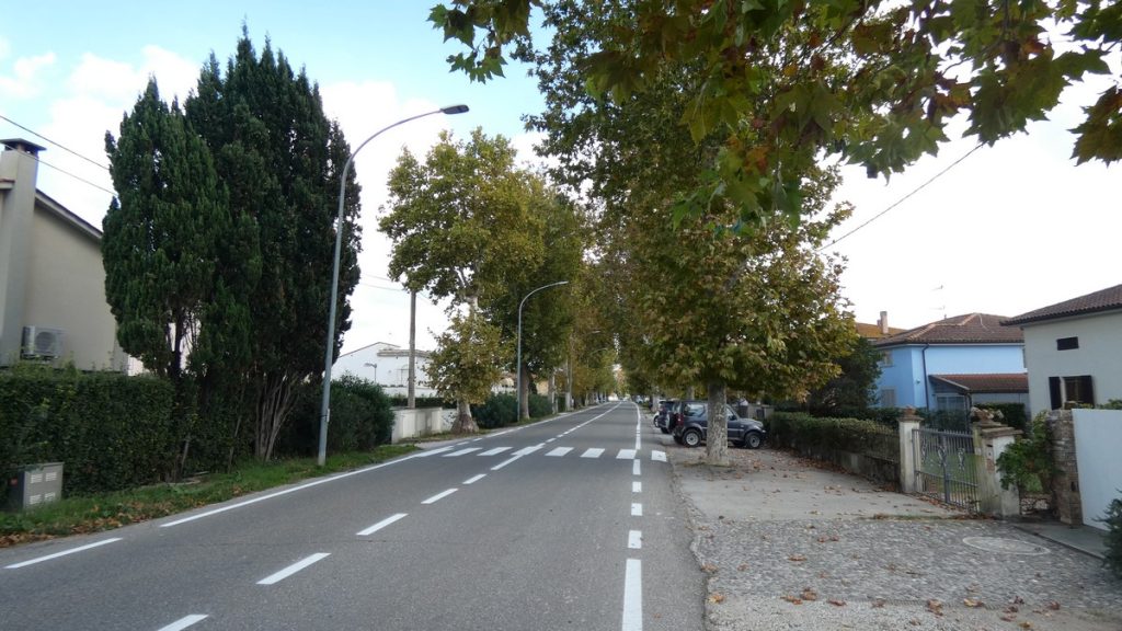 Allee kurz vor Pisa