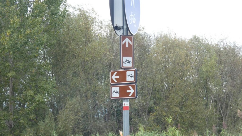 In welche Richtung geht es nun für mich weiter?