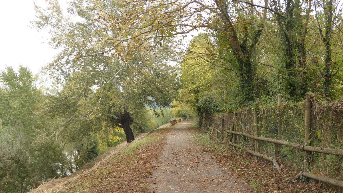 Herbststimmung