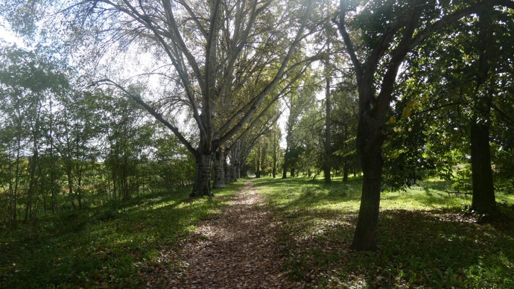 Schöner Park in San Giovanni Valdarno