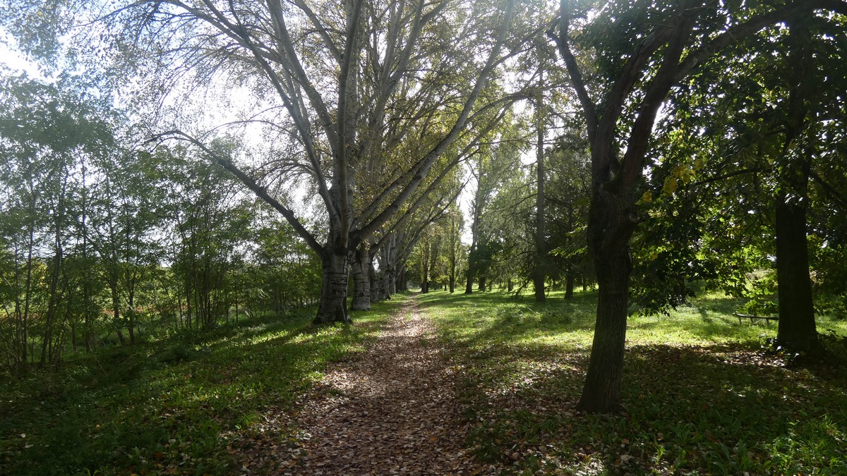 Schöner Park in San Giovanni Valdarno