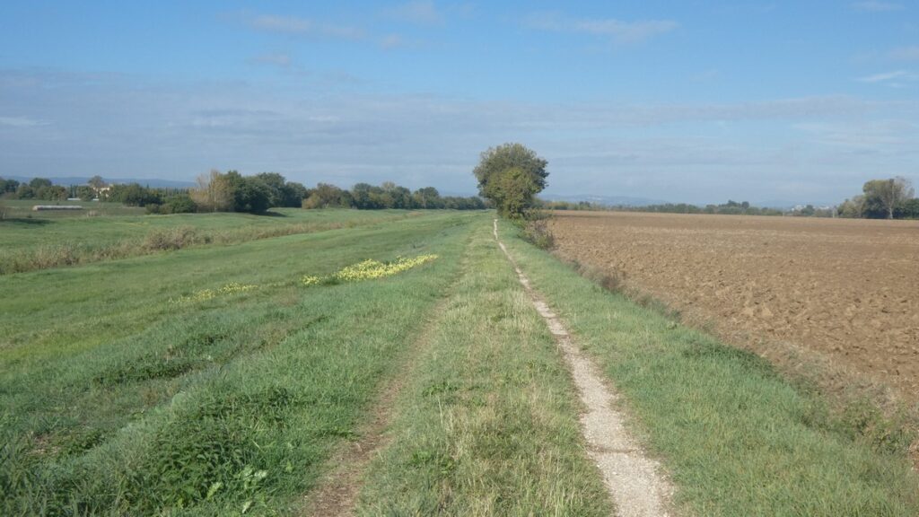 Single Track