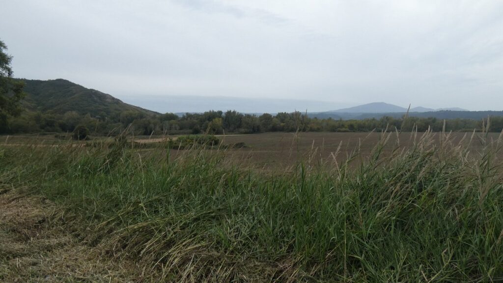 Landschaft bei Attigliano