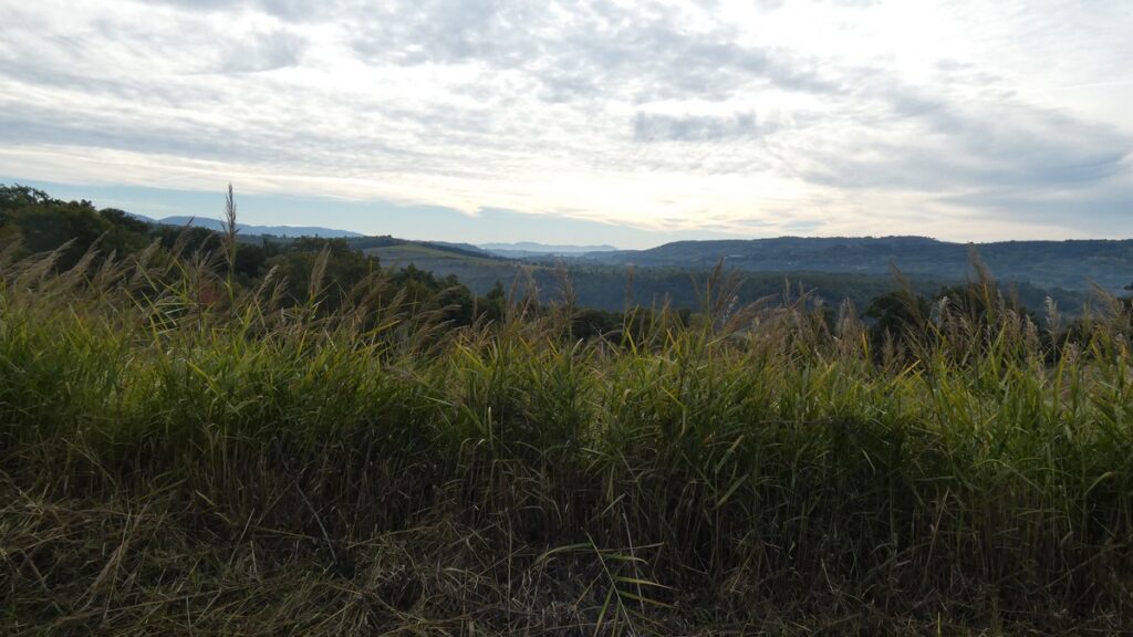 Morgendlicher Blick über die Landschaft